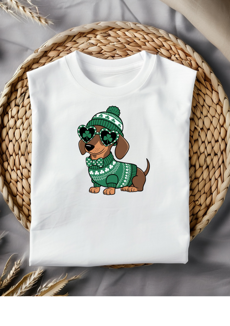 Lucky dachshund