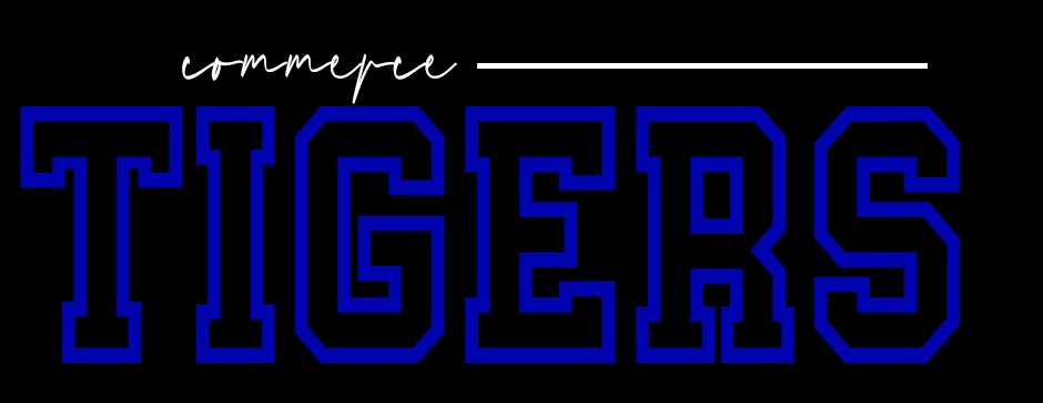 Cursive over mascot Shirt